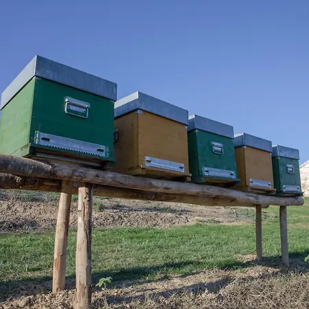 Cascina Rueral * Montafia