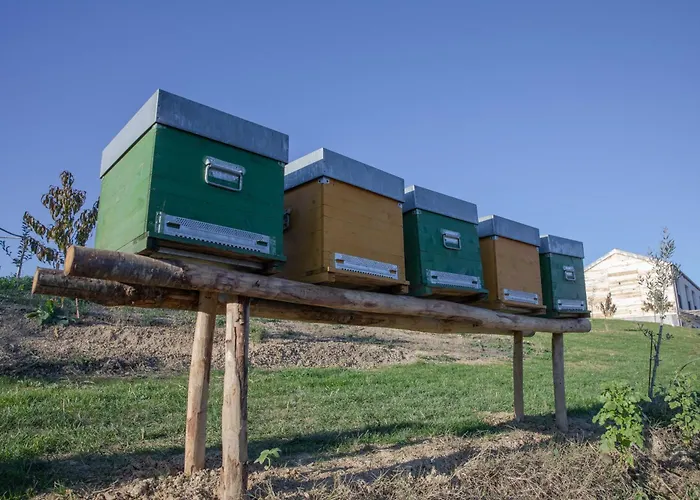 Cascina Rueral * Montafia